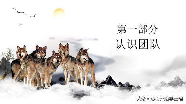 九游下载官网-包含《彩虹六号》赛事对团队协作的强调：沟通、信任与执行力的词条