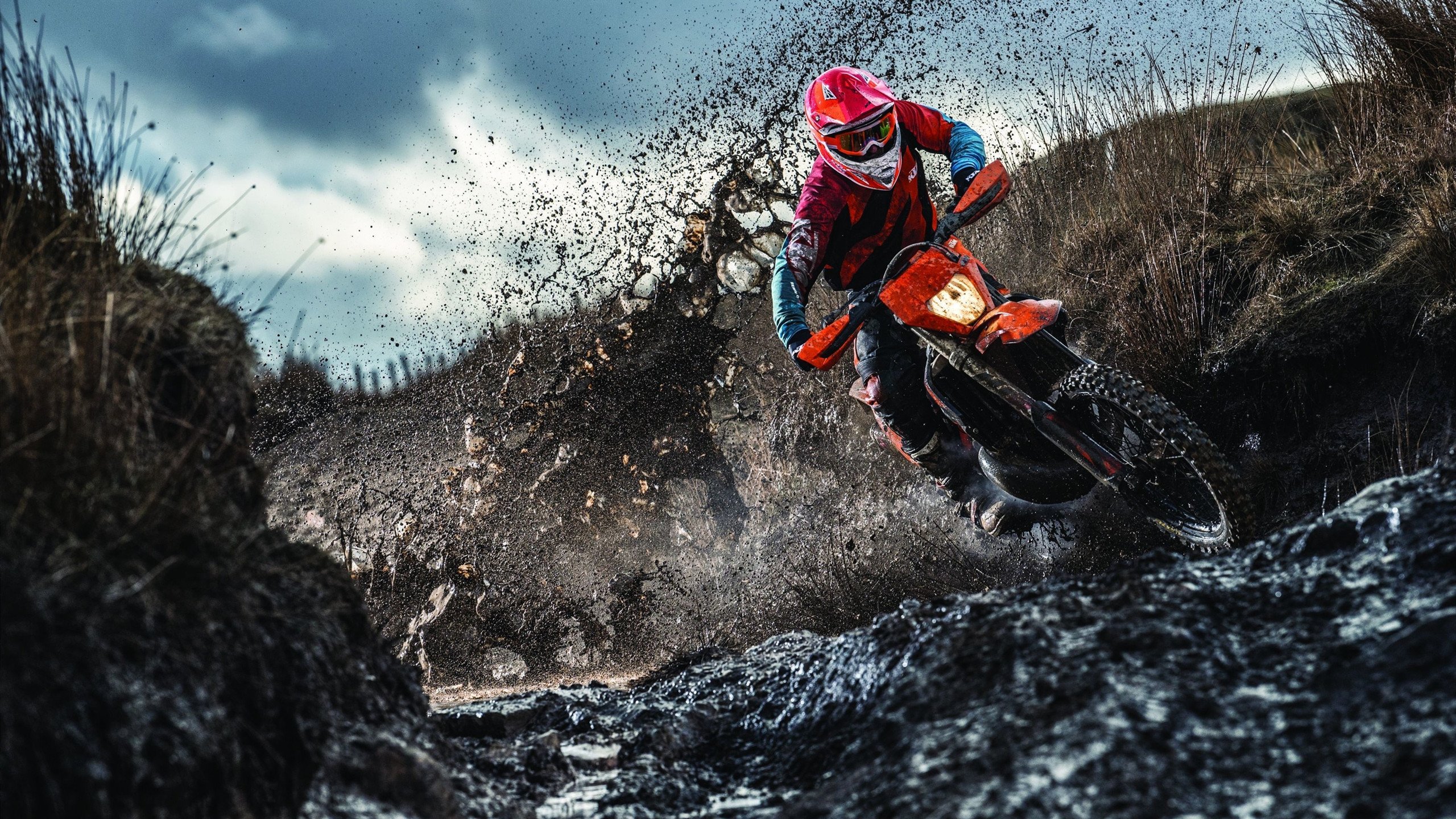 瑞典团队在2024年混合团体世界杯的精彩表现，瑞典世界杯预选赛赛程